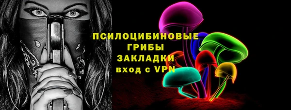 сатива Надым
