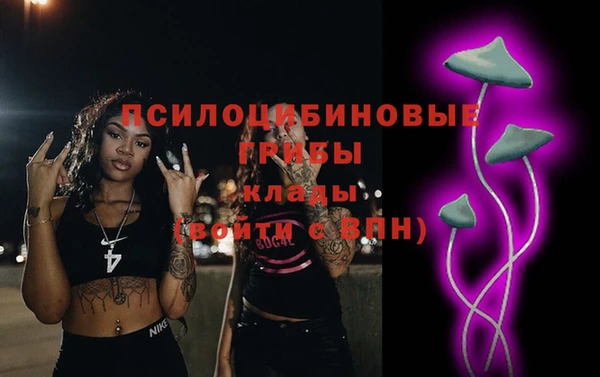 сатива Надым