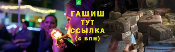 прущие грибы Наволоки