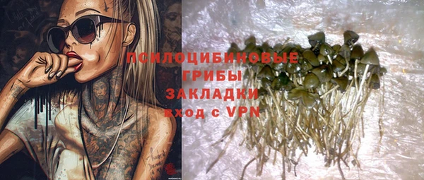 сатива Надым