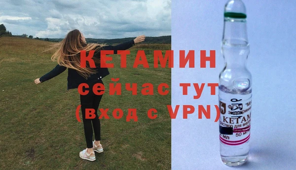 прущие грибы Наволоки