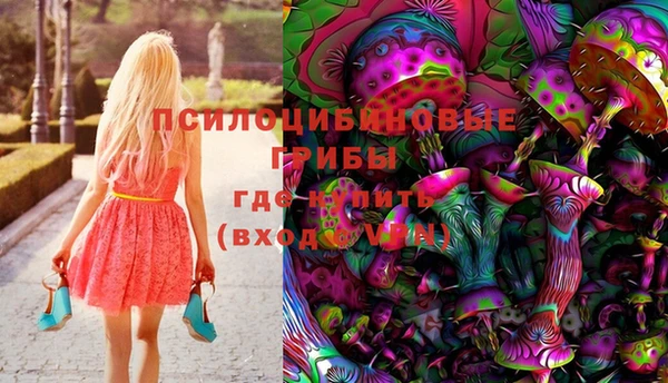 эйфоретик Фёдоровский