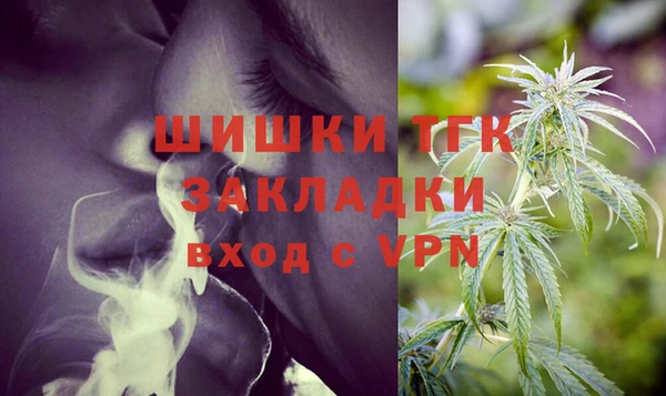 прущие грибы Наволоки