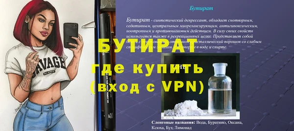 сатива Великий Новгород